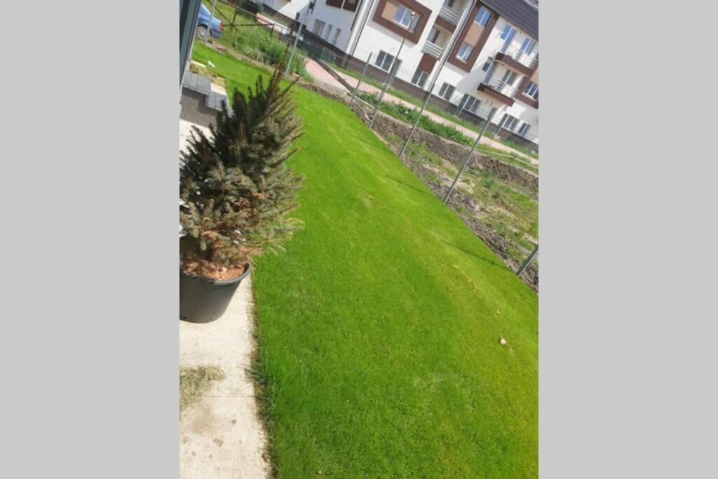 Garden Leisure Apartments Braşov Exteriör bild